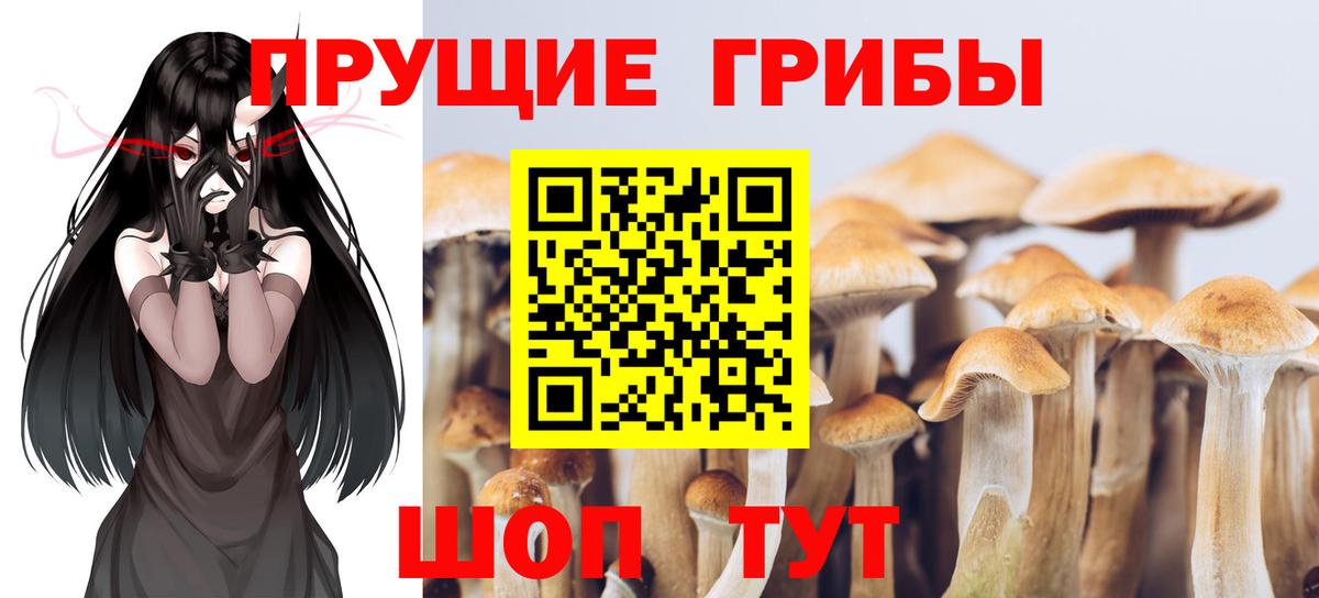 Галлюциногенные грибы MAGIC MUSHROOMS Сибай